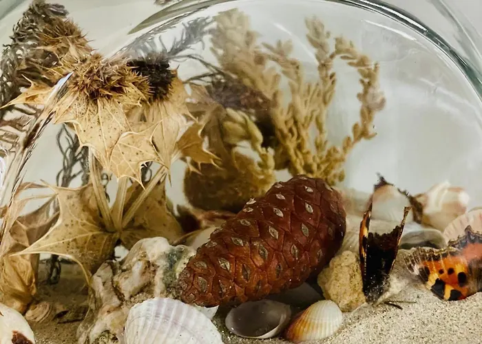 Lejlighed Morskie Piaski